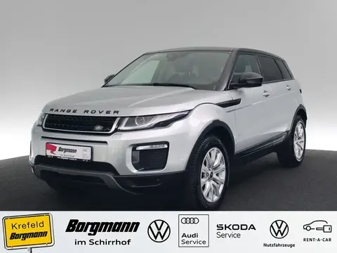 Used LAND ROVER RANGE ROVER EVOQUE Diesel 2019 Ad 