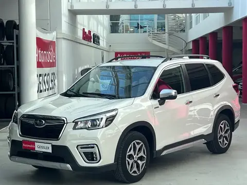 Used SUBARU FORESTER Petrol 2020 Ad 