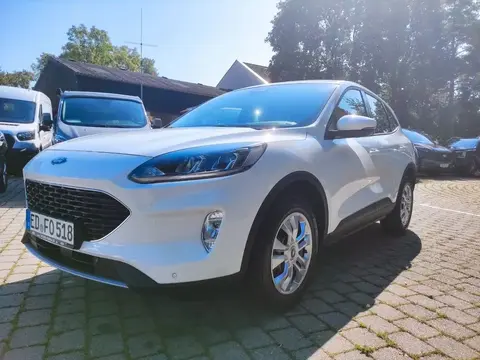 Annonce FORD KUGA Diesel 2023 d'occasion 