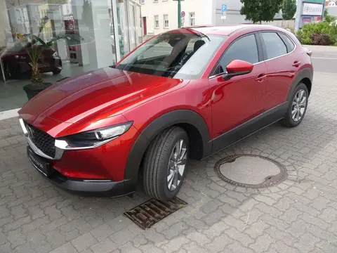 Used MAZDA CX-30 Petrol 2024 Ad 