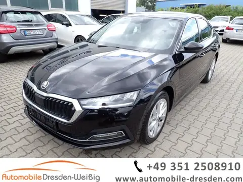 Used SKODA OCTAVIA Petrol 2023 Ad 