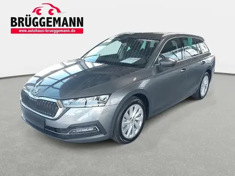 Used SKODA OCTAVIA Petrol 2024 Ad 