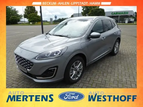 Used FORD KUGA Hybrid 2023 Ad 