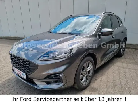 Annonce FORD KUGA Diesel 2024 d'occasion 