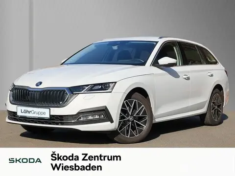 Used SKODA OCTAVIA Diesel 2024 Ad 