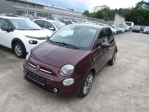 Used FIAT 500 Petrol 2019 Ad 