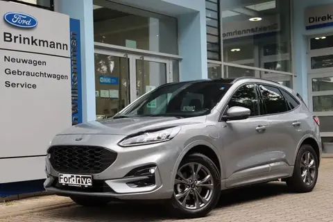 Annonce FORD KUGA Hybride 2022 d'occasion 