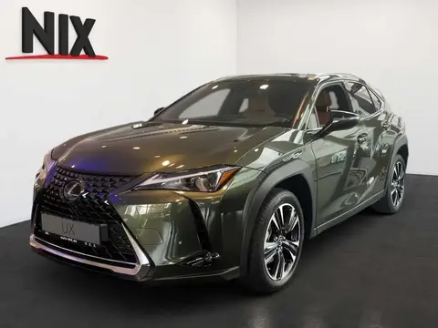 Used LEXUS UX Hybrid 2024 Ad Germany