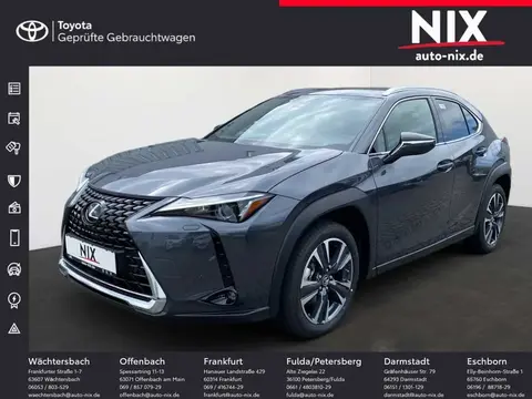 Used LEXUS UX Hybrid 2024 Ad 