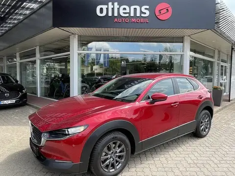 Used MAZDA CX-30 Hybrid 2021 Ad 