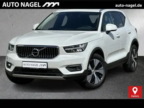 Annonce VOLVO XC40 Hybride 2021 d'occasion 