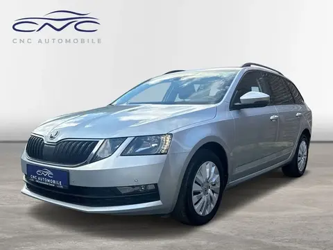 Annonce SKODA OCTAVIA Diesel 2019 d'occasion 