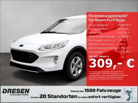 Annonce FORD KUGA Hybride 2024 d'occasion 