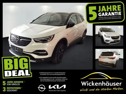 Used OPEL GRANDLAND Hybrid 2021 Ad 