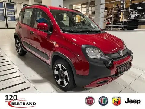 Used FIAT PANDA Petrol 2024 Ad 