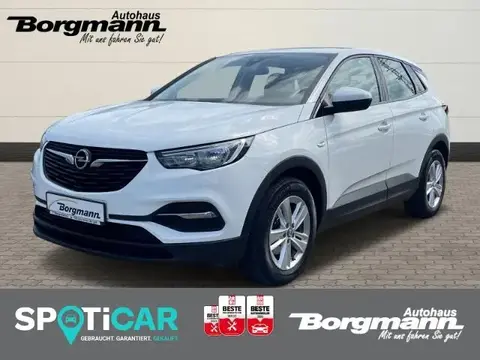 Used OPEL GRANDLAND Diesel 2019 Ad 