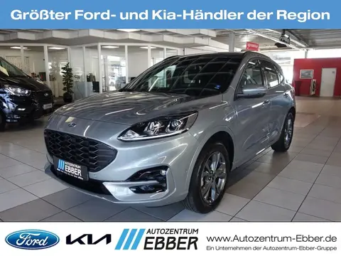 Used FORD KUGA Hybrid 2023 Ad 