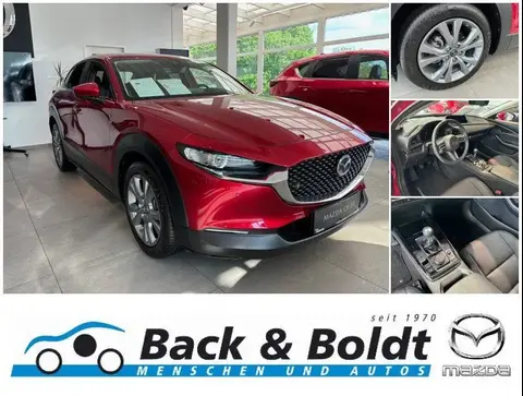 Annonce MAZDA CX-30 Essence 2024 d'occasion 