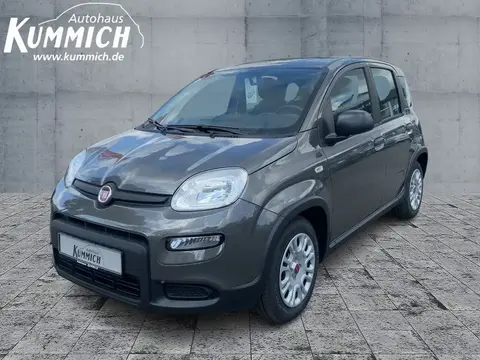 Used FIAT PANDA Hybrid 2023 Ad 