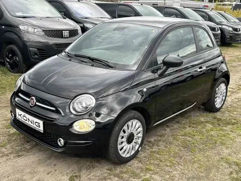 Used FIAT 500 Petrol 2023 Ad 