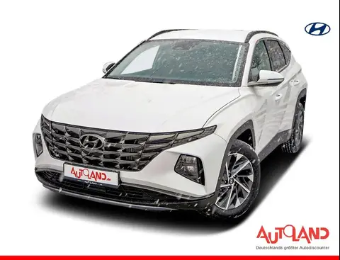 Used HYUNDAI TUCSON Petrol 2023 Ad 