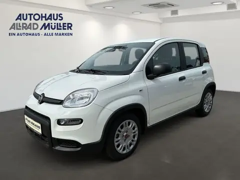 Used FIAT PANDA Petrol 2023 Ad 