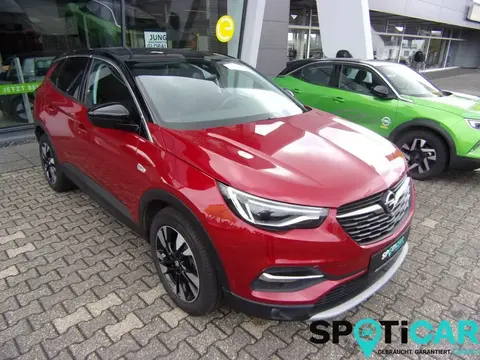 Used OPEL GRANDLAND Petrol 2020 Ad 