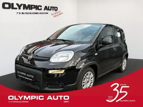 Used FIAT PANDA Petrol 2024 Ad 