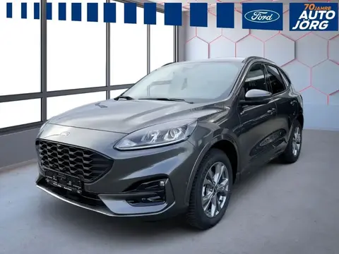 Annonce FORD KUGA Hybride 2023 d'occasion 