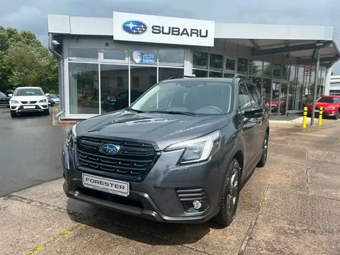 Used SUBARU FORESTER Petrol 2023 Ad 