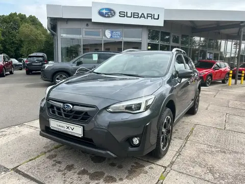 Used SUBARU XV Petrol 2023 Ad 