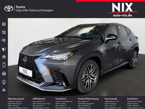 Annonce LEXUS NX Hybride 2023 d'occasion 