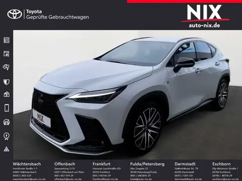 Used LEXUS NX Hybrid 2023 Ad 