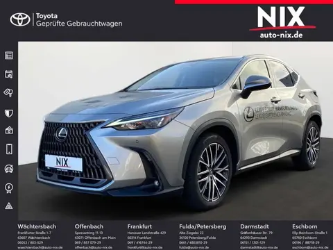 Annonce LEXUS NX Hybride 2023 d'occasion 