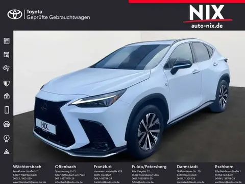 Annonce LEXUS NX Hybride 2023 d'occasion 