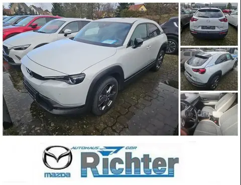 Used MAZDA MX-30 Not specified 2020 Ad 