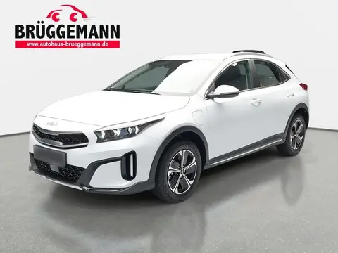 Used KIA XCEED Hybrid 2024 Ad 