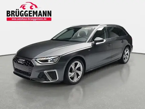 Used AUDI A4 Petrol 2023 Ad 