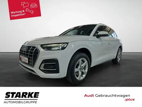 Annonce AUDI Q5 Diesel 2021 d'occasion 