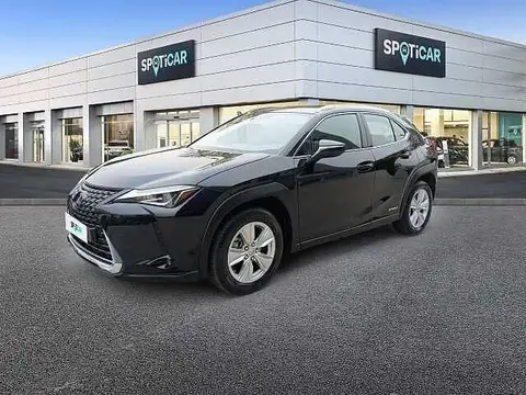 Used LEXUS UX Petrol 2020 Ad 