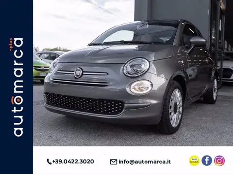 Used FIAT 500 Petrol 2021 Ad 