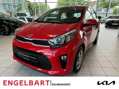 Used KIA PICANTO Petrol 2019 Ad 