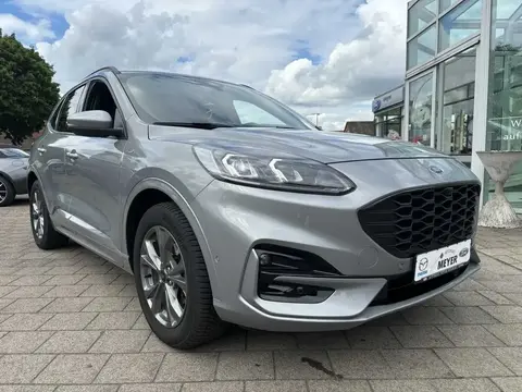 Used FORD KUGA Diesel 2022 Ad 