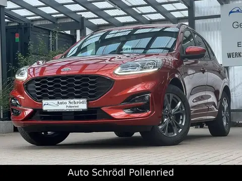 Used FORD KUGA Hybrid 2020 Ad 