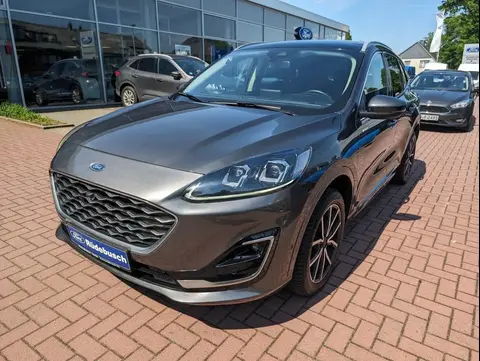 Used FORD KUGA Diesel 2020 Ad 