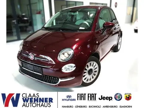 Used FIAT 500 Petrol 2020 Ad 