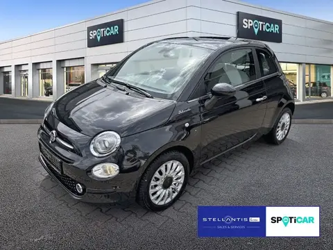 Used FIAT 500 Petrol 2023 Ad 