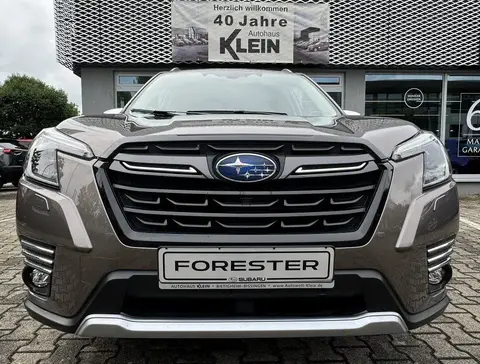 Annonce SUBARU FORESTER Essence 2023 d'occasion 