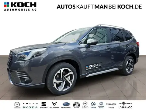 Annonce SUBARU FORESTER Hybride 2024 d'occasion 