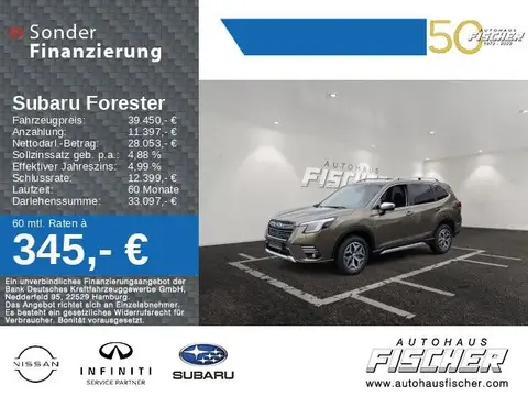 Annonce SUBARU FORESTER Essence 2024 d'occasion 